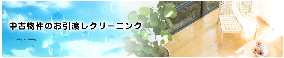 ���������̂����z���N���[�j���O